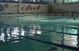 бассейн дельфин  на проекте lovefit.ru